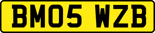 BM05WZB