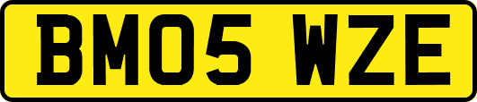 BM05WZE
