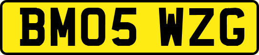 BM05WZG
