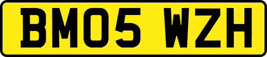 BM05WZH