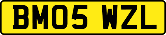 BM05WZL