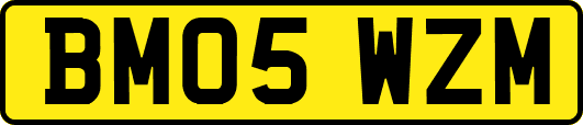 BM05WZM