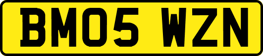 BM05WZN