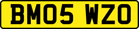 BM05WZO