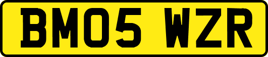 BM05WZR