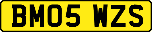 BM05WZS