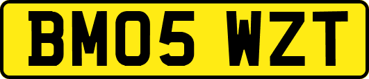 BM05WZT