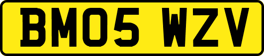 BM05WZV