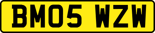 BM05WZW