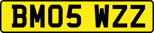BM05WZZ