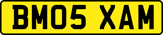 BM05XAM