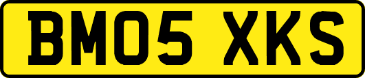 BM05XKS