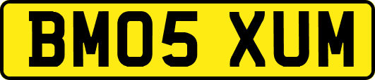 BM05XUM