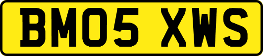 BM05XWS