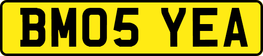 BM05YEA
