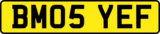 BM05YEF