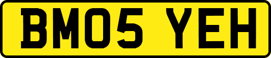 BM05YEH