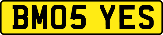 BM05YES