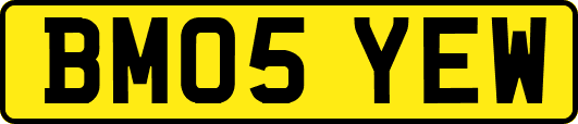 BM05YEW