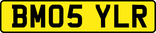 BM05YLR