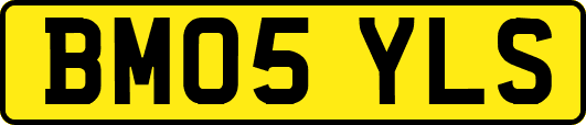 BM05YLS