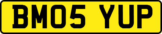 BM05YUP