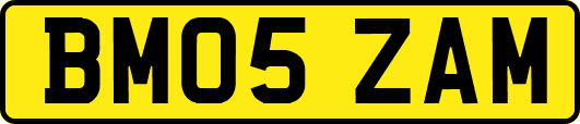 BM05ZAM