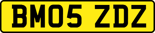 BM05ZDZ