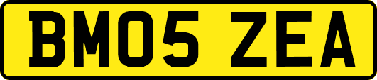 BM05ZEA