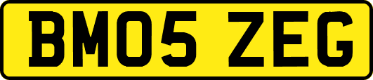 BM05ZEG