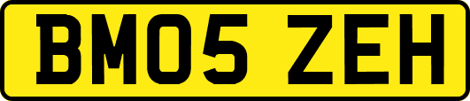 BM05ZEH