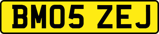 BM05ZEJ