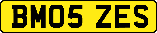 BM05ZES