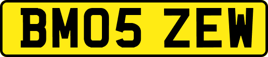 BM05ZEW