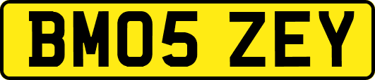 BM05ZEY