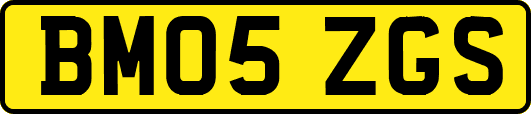 BM05ZGS