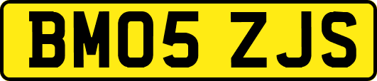 BM05ZJS