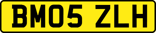BM05ZLH