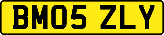 BM05ZLY