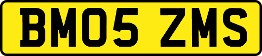 BM05ZMS