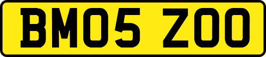 BM05ZOO