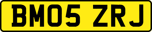 BM05ZRJ
