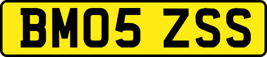 BM05ZSS