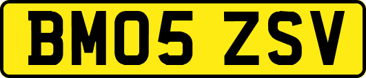 BM05ZSV