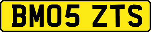 BM05ZTS