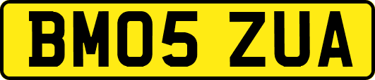 BM05ZUA