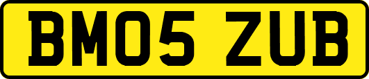 BM05ZUB