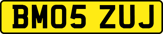 BM05ZUJ