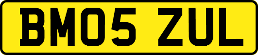 BM05ZUL