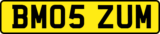 BM05ZUM